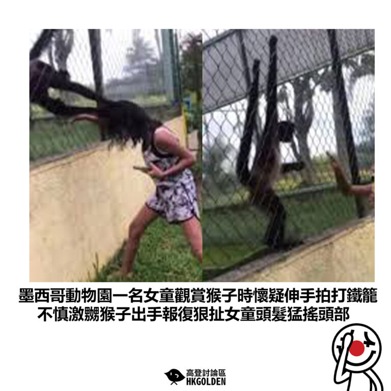 【墨西哥動物園一名女童觀賞猴子時懷疑伸手拍打鐵籠 不慎激嬲猴子出手報復狠扯女童頭髮猛搖頭部】
