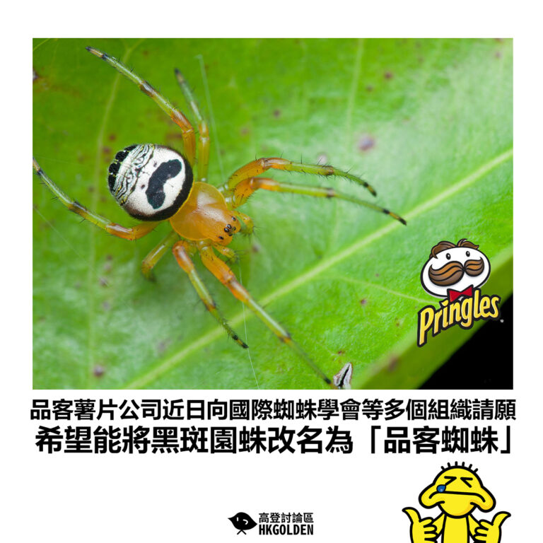 【品客薯片公司近日向國際蜘蛛學會等多個組織請願 希望能將黑斑園蛛改名為「品客蜘蛛」】
