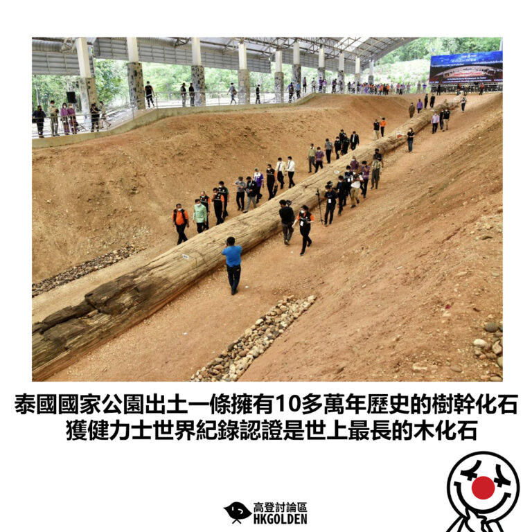 【泰國國家公園出土一條擁有10多萬年歷史的樹幹化石 獲健力士世界紀錄認證是世上最長的木化石】