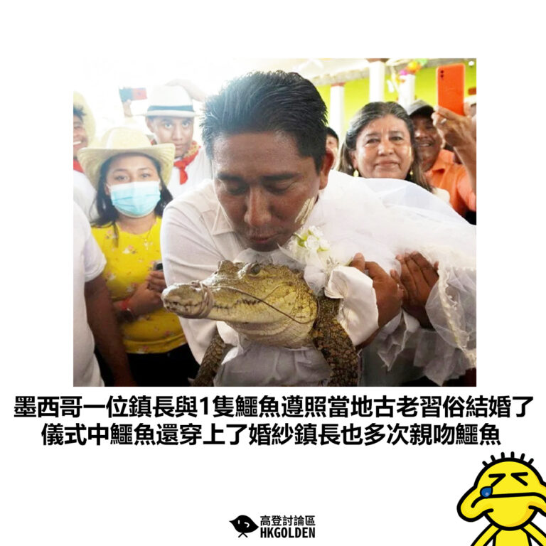 【墨西哥一位鎮長與1隻鱷魚遵照當地古老習俗結婚了 儀式中鱷魚還穿上了婚紗鎮長也多次親吻鱷魚】
