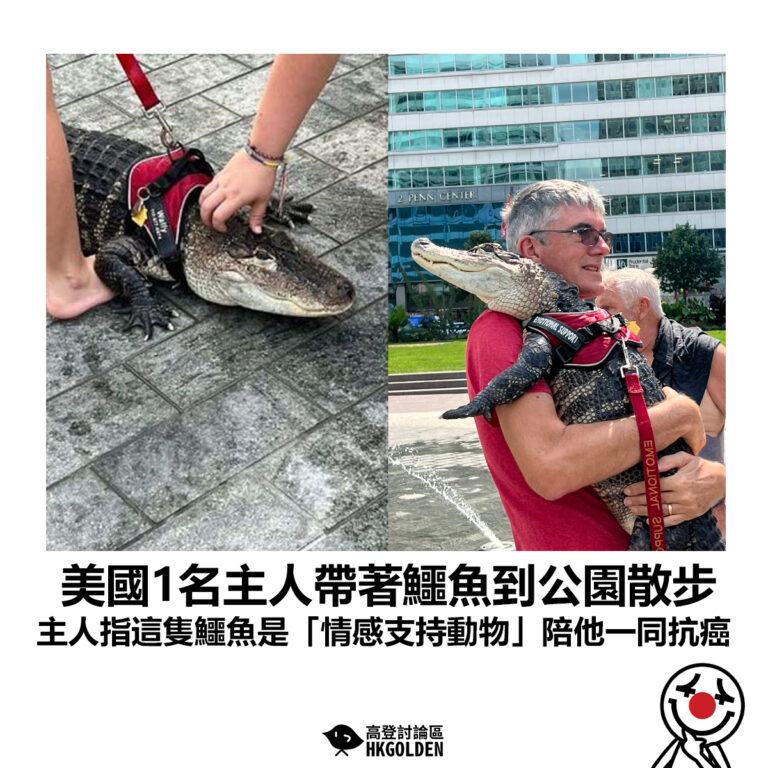 【美國1名主人帶著鱷魚到公園散步 主人指這隻鱷魚是「情感支持動物」陪他一同抗癌】