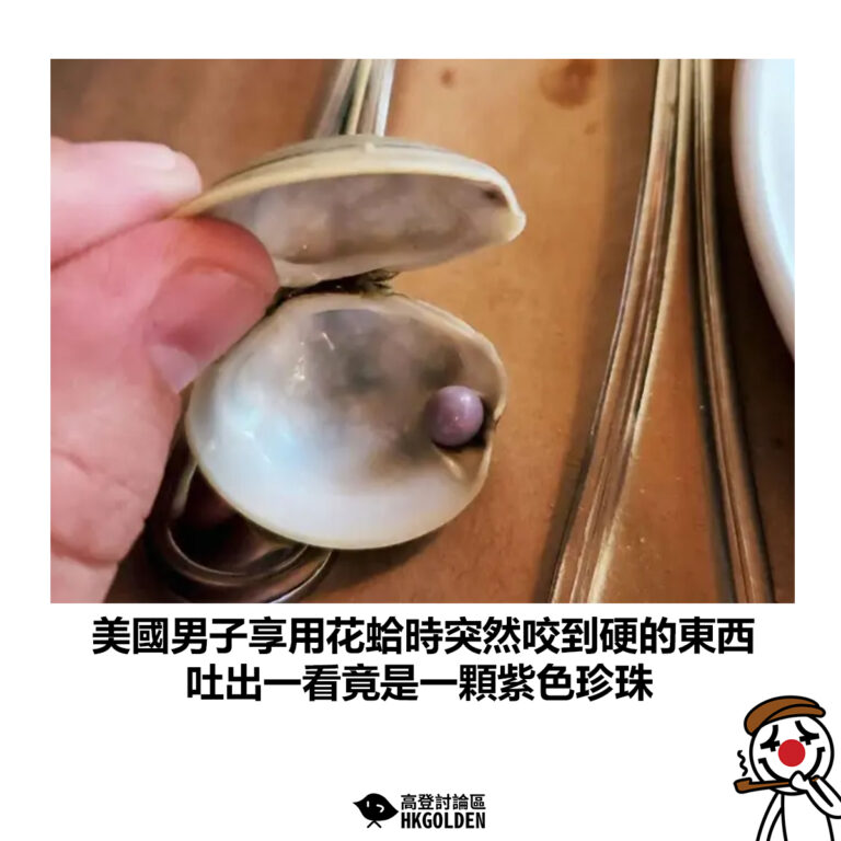 【美國男子享用花蛤時突然咬到硬的東西 吐出一看竟是一顆紫色珍珠】