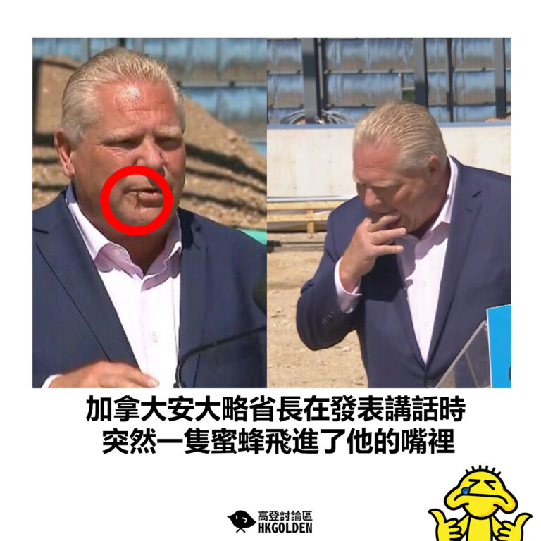 【加拿大安大略省長在發表講話時  突然一隻蜜蜂飛進了他的嘴裡】