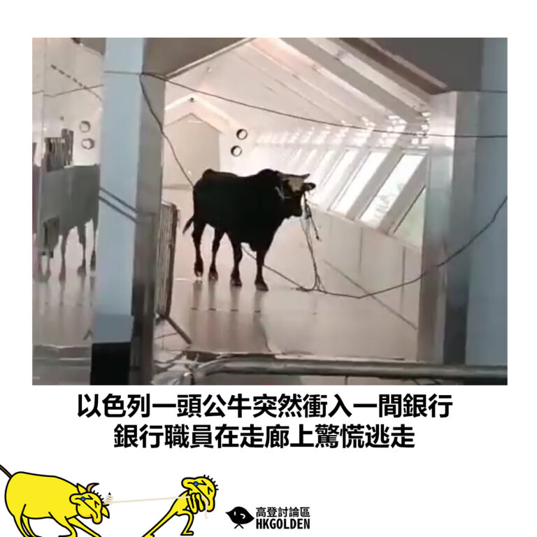 【以色列一頭公牛突然衝入一間銀行  銀行職員在走廊上驚慌逃走】