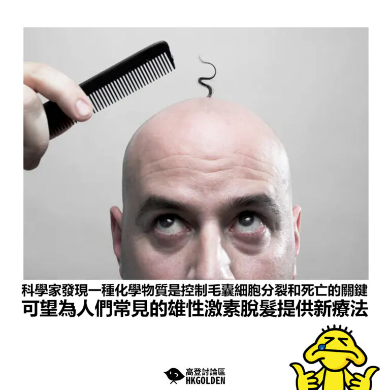 【科學家發現一種化學物質是控制毛囊細胞分裂和死亡的關鍵 可望為人們常見的雄性激素脫髮提供新療法】
