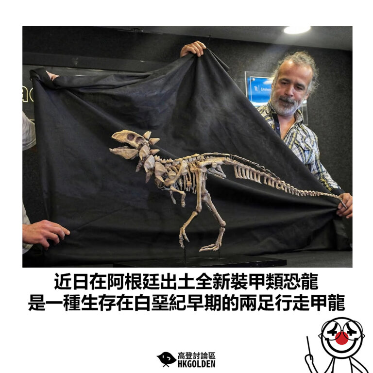 【近日在阿根廷出土全新裝甲類恐龍 是一種生存在白堊紀早期的兩足行走甲龍】