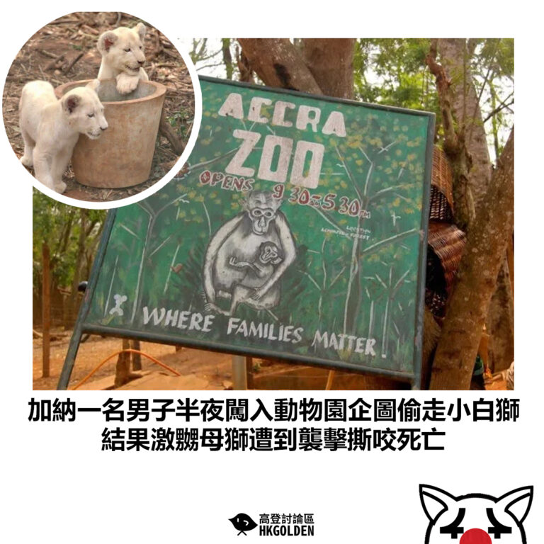 【加納一名男子半夜闖入動物園企圖偷走小白獅 結果激嬲母獅遭到襲擊撕咬死亡】