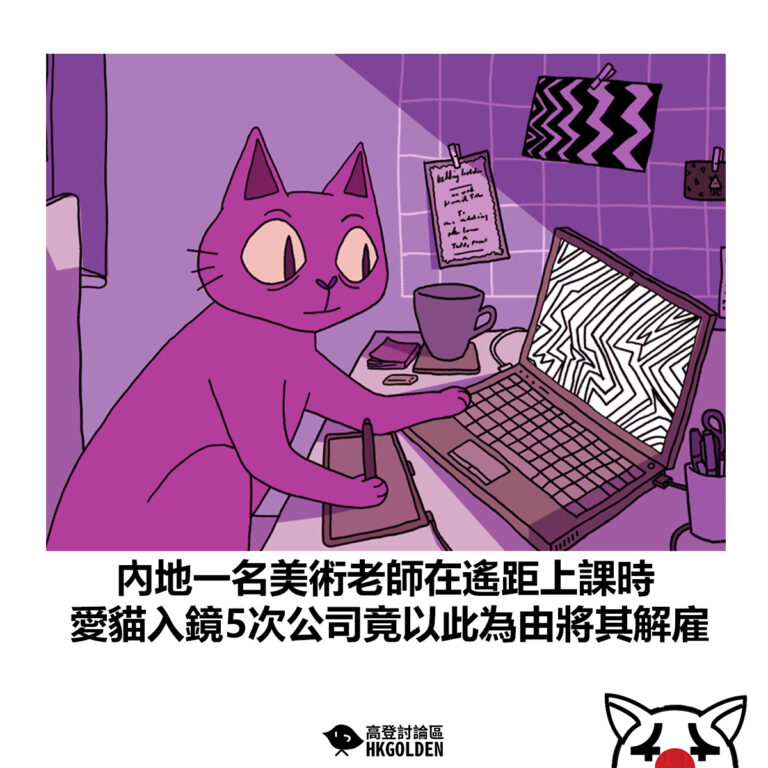 【內地一名美術老師在遙距上課時 愛貓入鏡5次公司竟以此為由將其解雇】