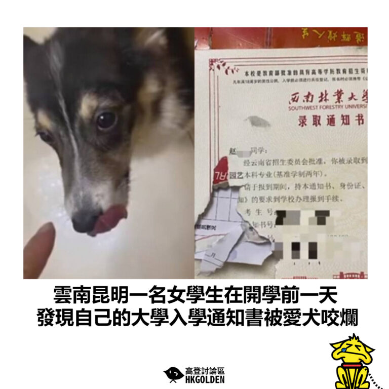 【雲南昆明一名女學生在開學前一天 發現自己的大學入學通知書被愛犬咬爛】