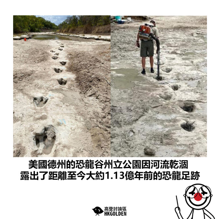 【美國德州的恐龍谷州立公園因河流乾涸 露出了距離至今大約1.13億年前的恐龍足跡】