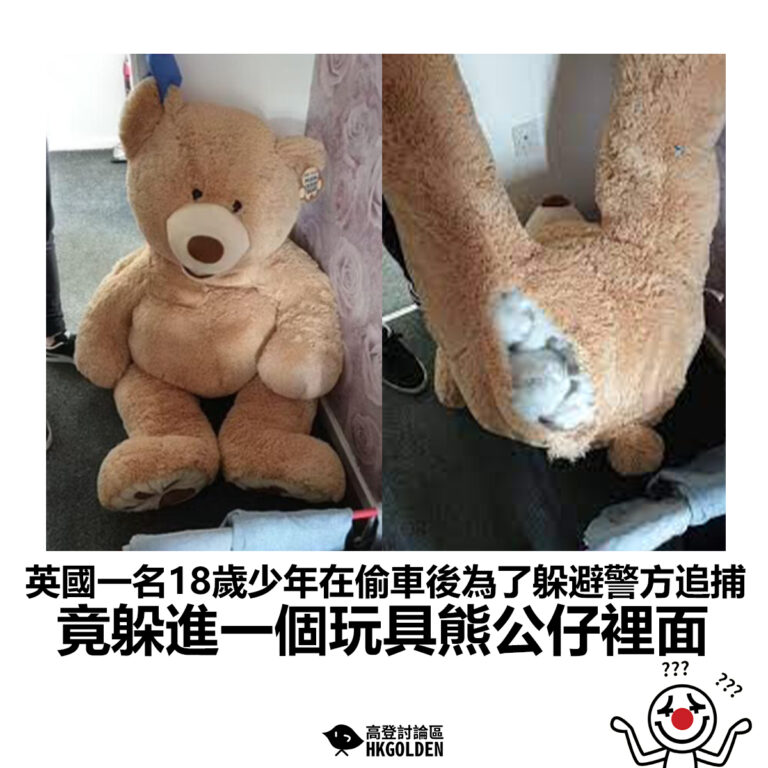 【英國一名18歲少年在偷車後為了躲避警方追捕 竟躲進一個玩具熊公仔裡面】