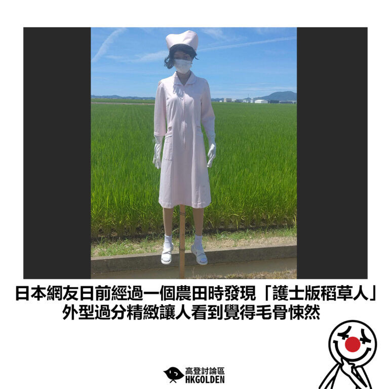 【日本網友日前經過一個農田時發現「護士版稻草人」 外型過分精緻讓人看到覺得毛骨悚然】