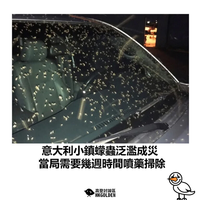 【意大利小鎮蠓蟲泛濫成災  當局需要幾週時間噴藥掃除】