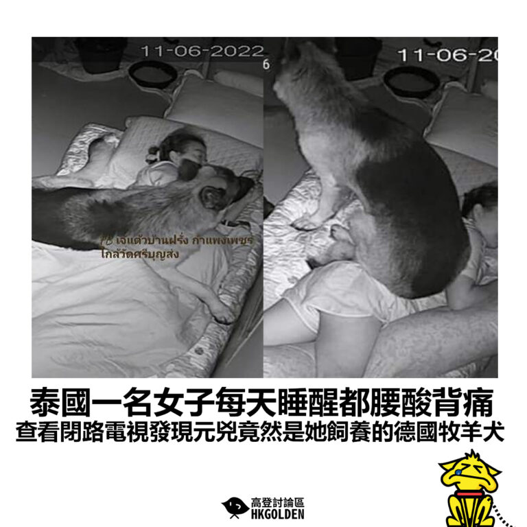 【泰國一名女子每天睡醒都腰酸背痛 查看閉路電視發現元兇竟然是她飼養的德國牧羊犬】