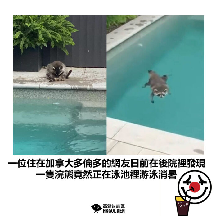 safgsdgdsgsd