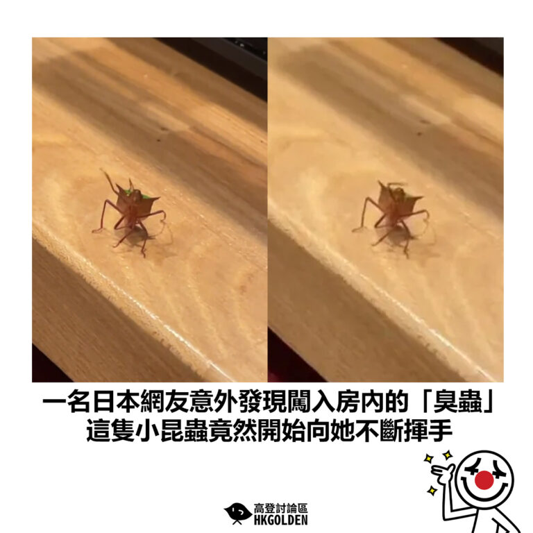 【一名日本網友意外發現闖入房內的「臭蟲」這隻小昆蟲竟然開始向她不斷揮手】