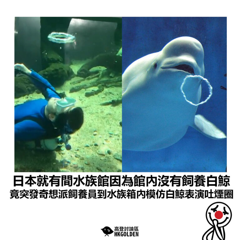 【日本就有間水族館因為館內沒有飼養白鯨 竟突發奇想派飼養員到水族箱內模仿白鯨表演吐煙圈】