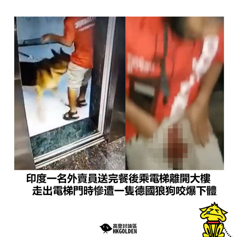【印度一名外賣員送完餐後乘電梯離開大樓 走出電梯門時慘遭一隻德國狼狗咬爆下體】