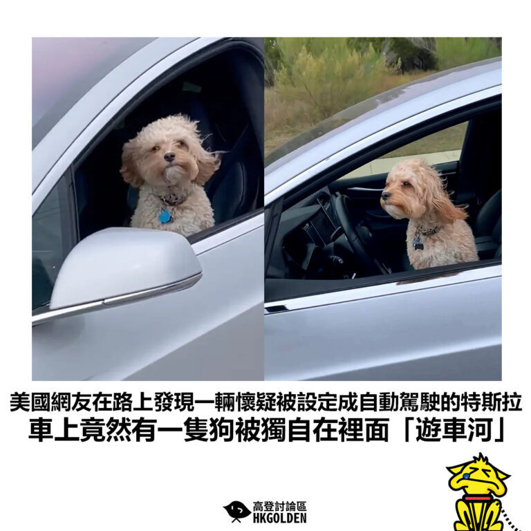 【美國網友在路上發現一輛懷疑被設定成自動駕駛的特斯拉 車上竟然有一隻狗被獨自在裡面「遊車河」】