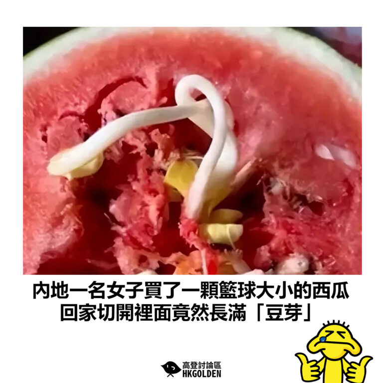 【內地一名女子買了一顆籃球大小的西瓜 回家切開裡面竟然長滿「黃豆芽」】
