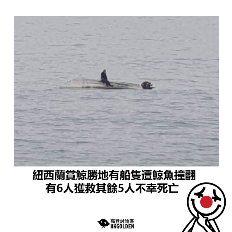 【紐西蘭賞鯨勝地有船隻遭鯨魚撞翻 有6人獲救其餘5人不幸死亡】