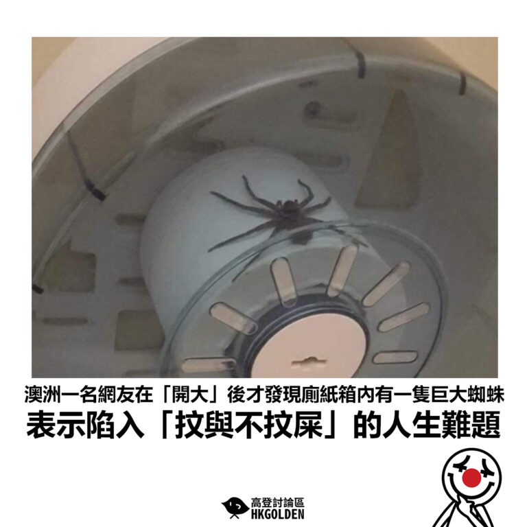 【澳洲一名網友在「開大」後才發現廁紙箱內有一隻巨大蜘蛛 表示陷入「抆與不抆屎」的人生難題】