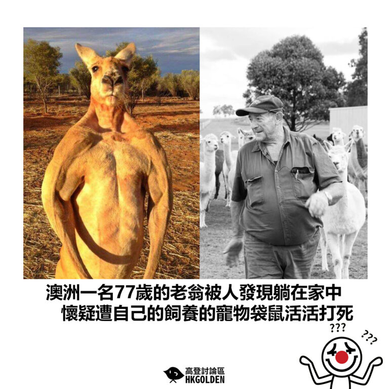 【澳洲一名77歲的老翁被人發現躺在家中 懷疑遭自己的飼養的寵物袋鼠活活打死】