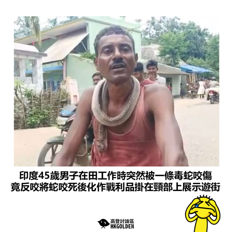 【印度45歲男子在田工作時突然被一條毒蛇咬傷 竟反咬將蛇咬死後化作戰利品掛在頸部上展示遊街】