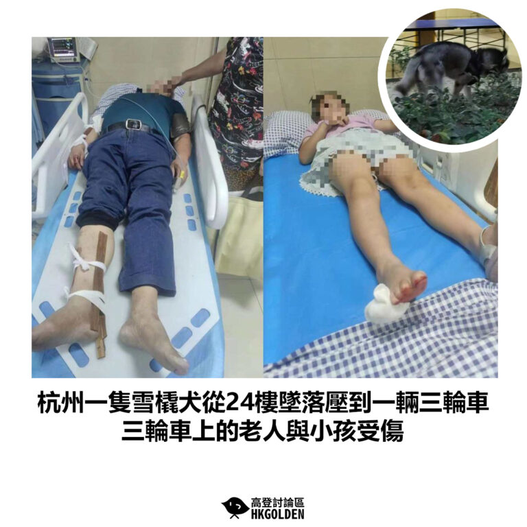 【杭州一隻雪橇犬從24樓墜落壓到一輛三輪車 三輪車上的老人與小孩受傷】