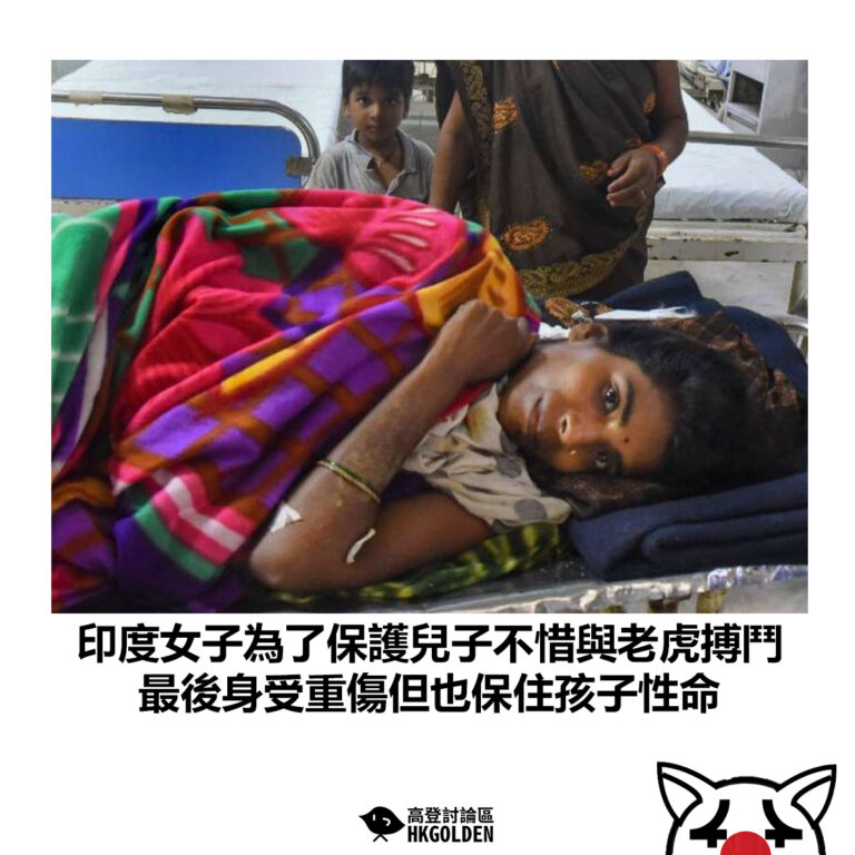 【印度女子為了保護兒子不惜與老虎搏鬥 最後身受重傷但也保住孩子性命】