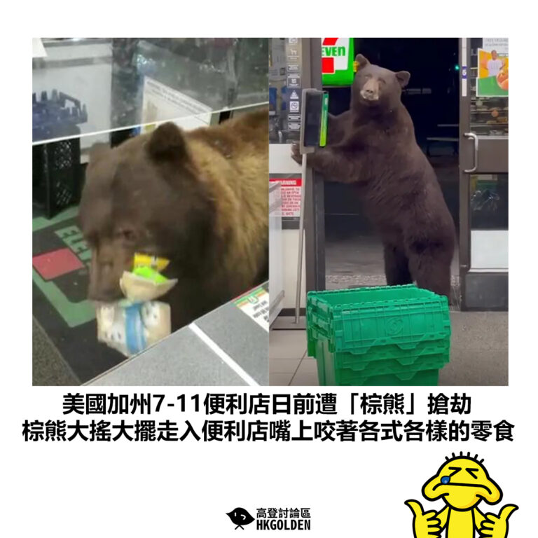 【美國加州7-11便利店日前遭「棕熊」搶劫 棕熊大搖大擺走入便利店嘴上咬著各式各樣的零食】