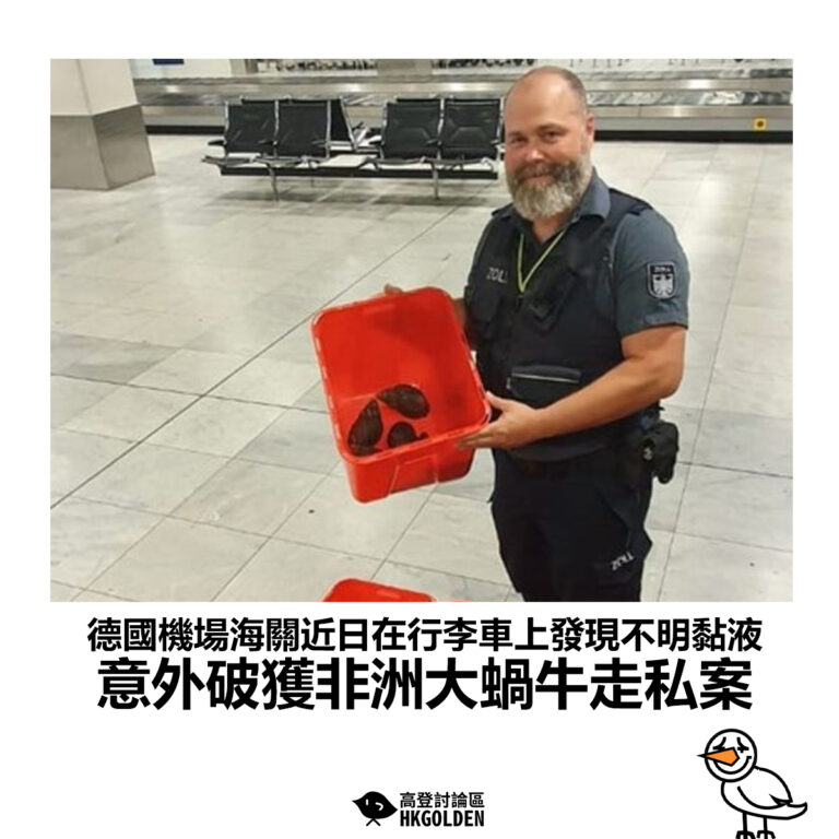 【德國機場海關近日在行李車上發現不明黏液 意外破獲非洲大蝸牛走私案】