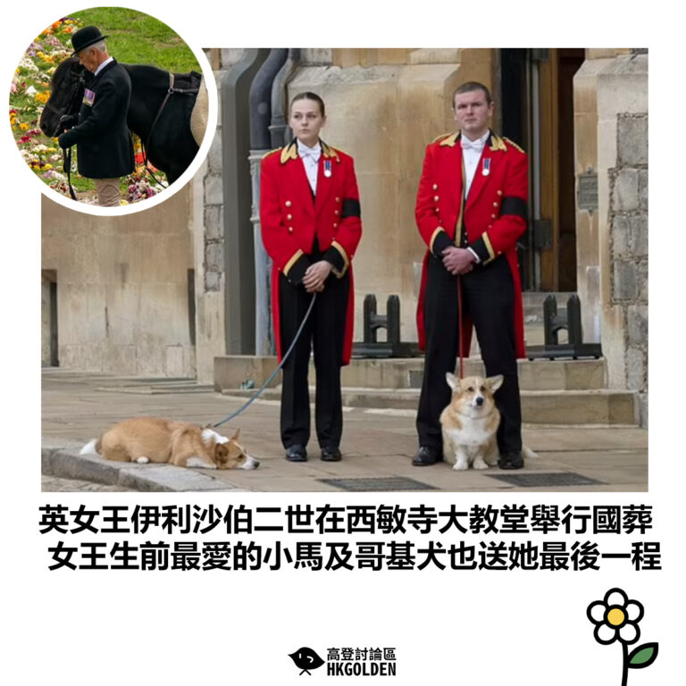 【英女王伊利沙伯二世在西敏寺大教堂舉行國葬 女王生前最愛的小馬及哥基犬也送她最後一程】