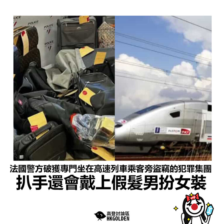 【法國警方破獲專門坐在高速列車乘客旁盜竊的犯罪集團 扒手還會戴上假髮男扮女裝】