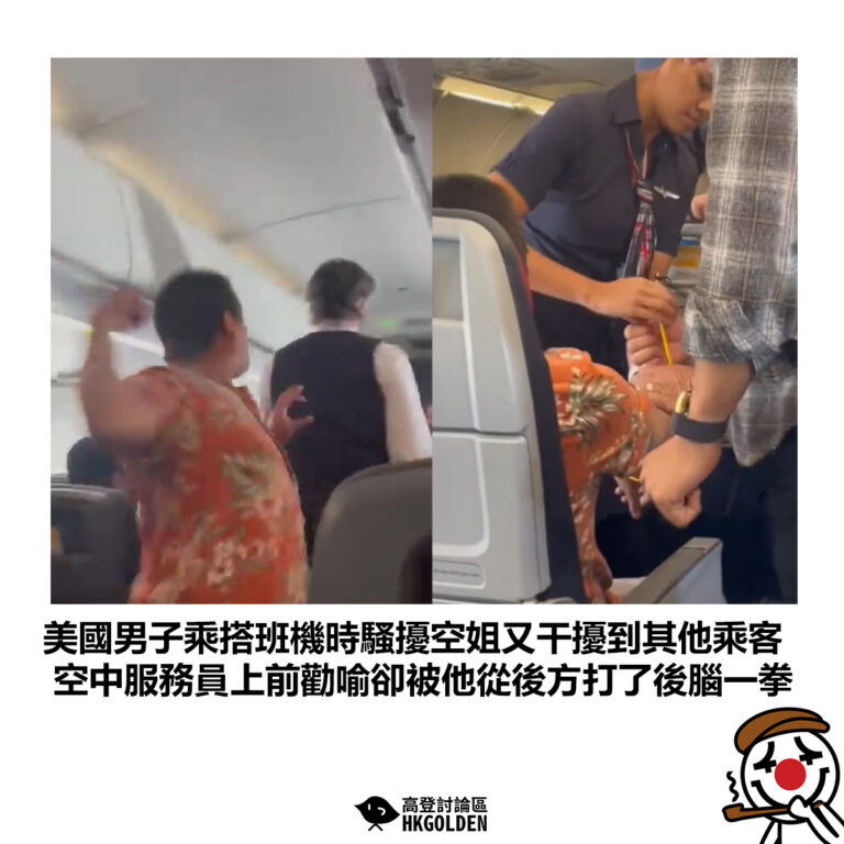 【美國男子乘搭班機時騷擾空姐又干擾到其他乘客 空中服務員上前勸喻卻被他從後方打了後腦一拳】