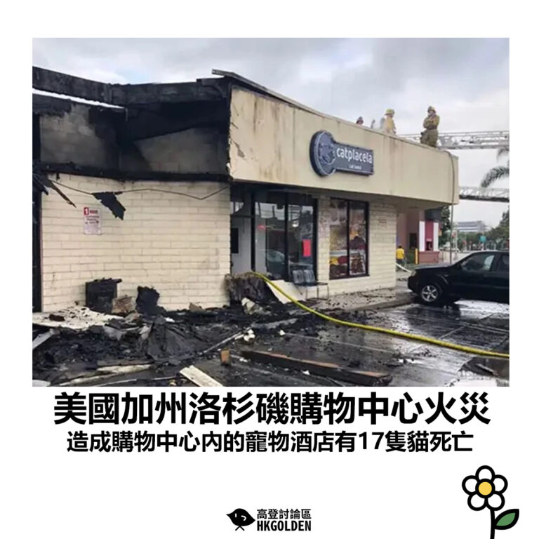 【美國加州洛杉磯購物中心火災 造成購物中心內的寵物酒店有17隻貓死亡】