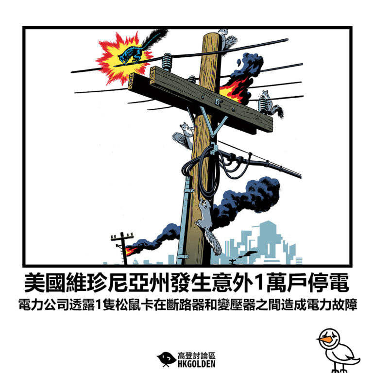 【美國維珍尼亞州發生意外1萬戶停電 電力公司透露1隻松鼠卡在斷路器和變壓器之間造成電力故障】