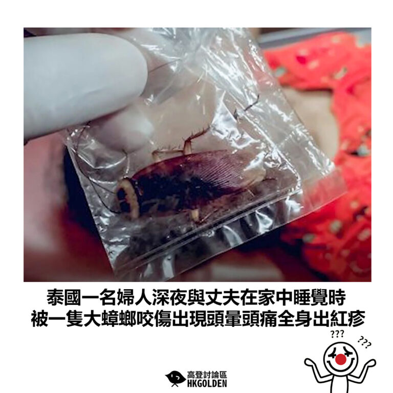 【泰國一名婦人深夜與丈夫在家中睡覺時 被一隻大蟑螂咬傷出現頭暈頭痛全身出紅疹】