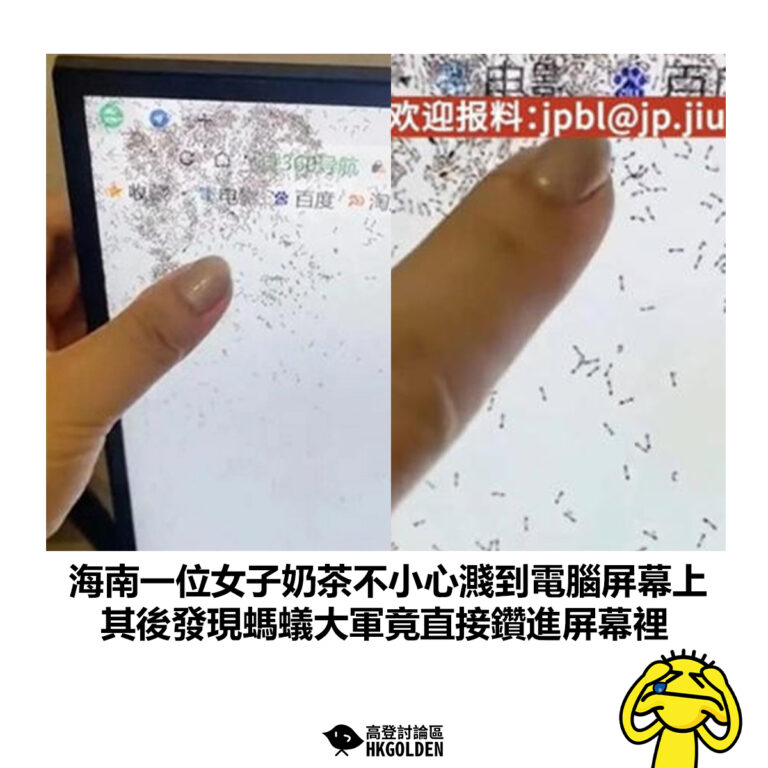 【海南一位女子奶茶不小心濺到電腦屏幕上 其後發現螞蟻大軍竟直接鑽進屏幕裡】