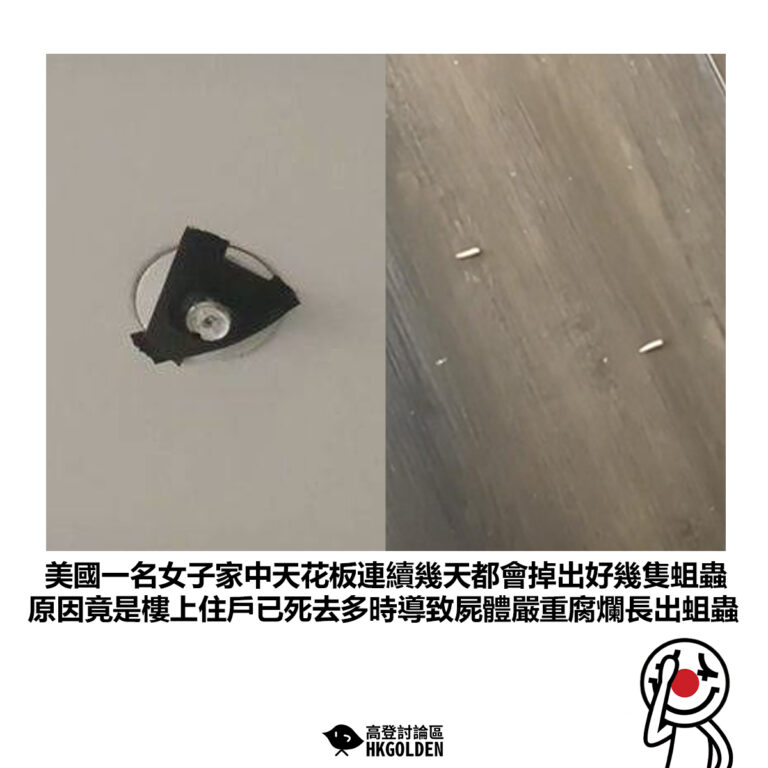 【美國一名女子家中天花板連續幾天都會掉出好幾隻蛆蟲 原因竟是樓上住戶已死去多時導致屍體嚴重腐爛長出蛆蟲】