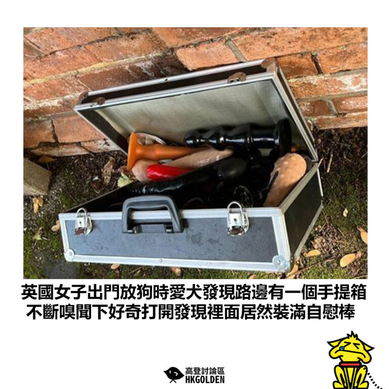 【英國女子出門放狗時愛犬發現路邊有一個手提箱 不斷嗅聞下好奇打開發現裡面居然裝滿自慰棒】