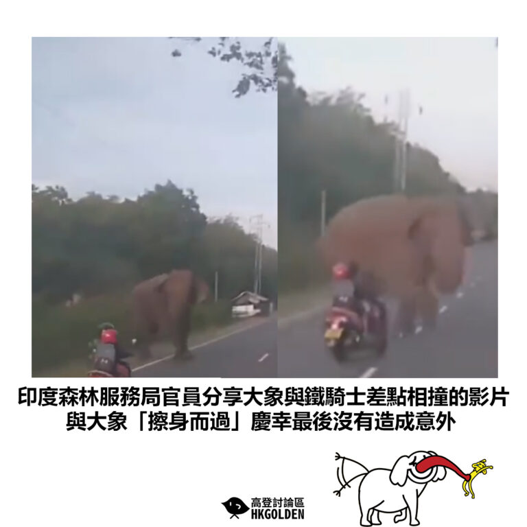 【印度森林服務局官員分享大象與鐵騎士差點相撞的影片 與大象「擦身而過」慶幸最後沒有造成意外】
