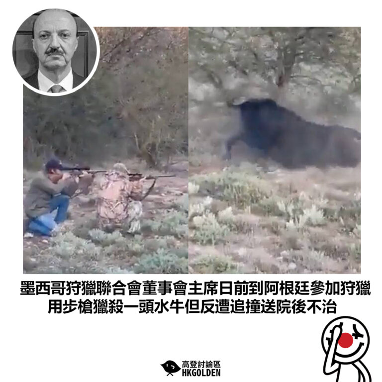 【墨西哥狩獵聯合會董事會主席日前到阿根廷參加狩獵 用步槍獵殺一頭水牛但反遭追撞送院後不治】