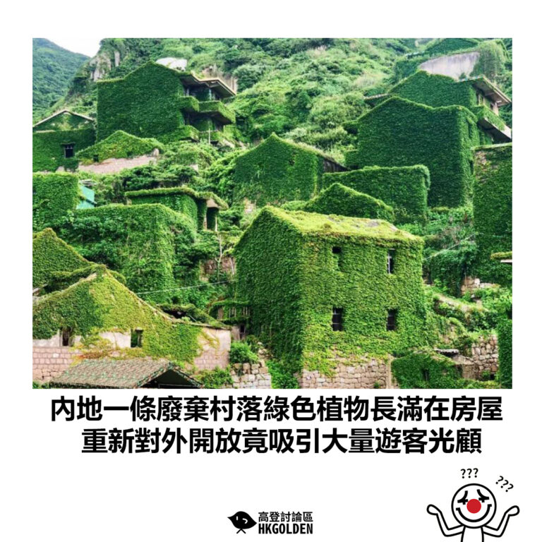 【內地一條廢棄村落綠色植物長滿在房屋 重新對外開放竟吸引大量遊客光顧】