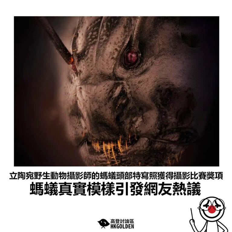 【立陶宛野生動物攝影師的螞蟻頭部特寫照獲得攝影比賽獎項 螞蟻真實模樣引發網友熱議】