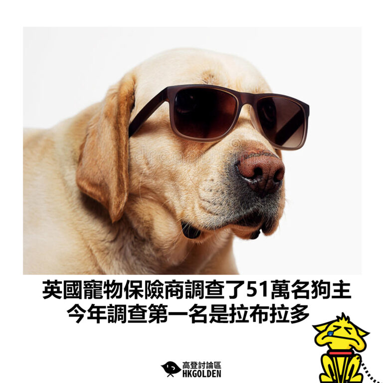 【英國寵物保險商調查了51萬名狗主  今年調查第一名是拉布拉多】