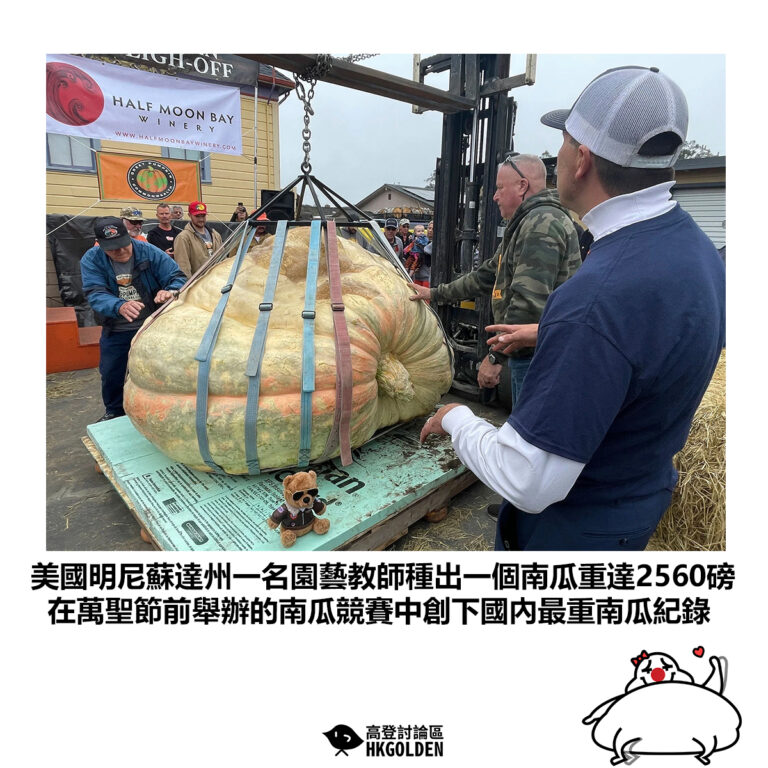 【美國明尼蘇達州一名園藝教師種出一個南瓜重達2560磅 在萬聖節前舉辦的南瓜競賽中創下國內最重南瓜紀錄】