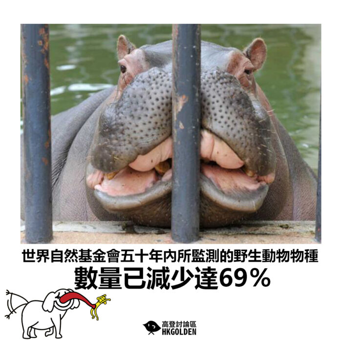 dsgsdgsgs