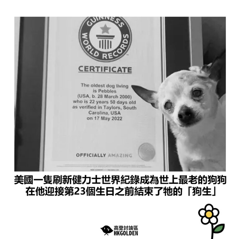 【美國一隻刷新健力士世界紀錄成為世上最老的狗狗 在他迎接第23個生日之前結束了牠的「狗生」】
