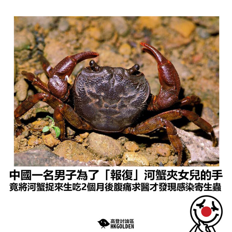 【中國一名男子為了「報復」河蟹夾女兒的手 竟將河蟹捉來生吃2個月後腹痛求醫才發現感染寄生蟲】